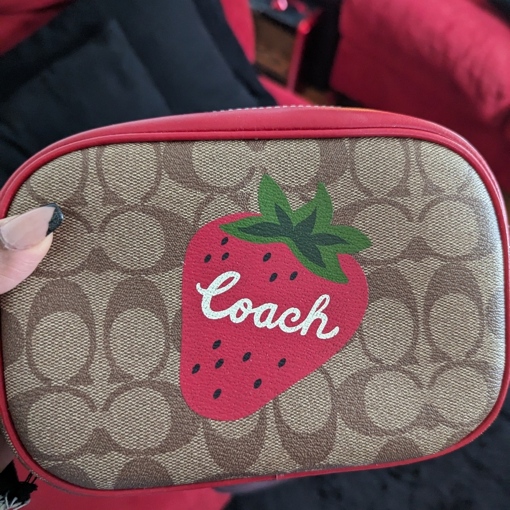 🍓 Coach Strawberry Crossbody Camera Bag 🍓